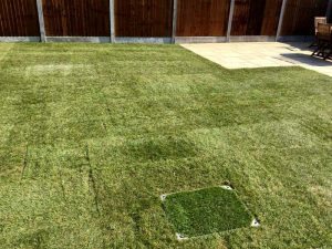essex garden landscaping 16
