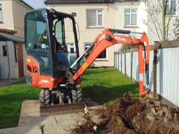 tree stump removal specialists